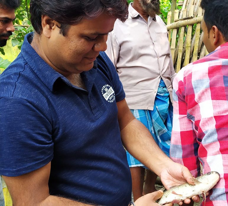 Fish Seed Suppliers in Naihati, WB