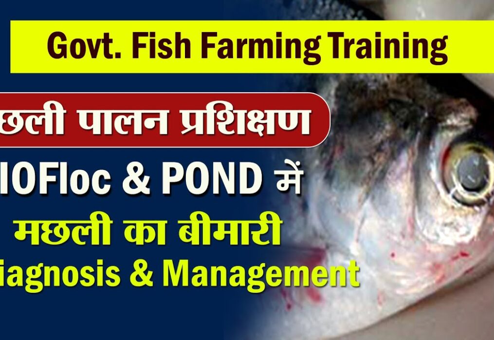 Fish Farming Training 2023