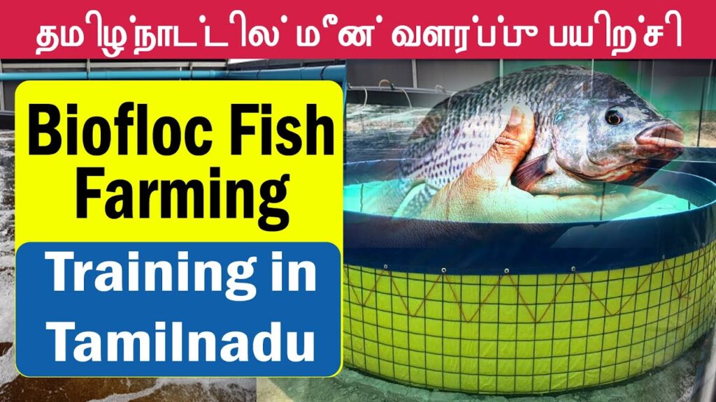 Fish farming Training in Tamilnadu