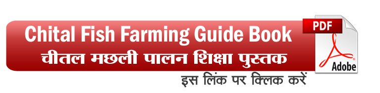 Chital Fish Farming Guide Book