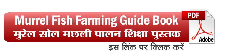 Murrel Fish Farming Guide Book