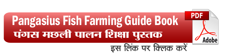 Pangasius Fish Farming Guide Book
