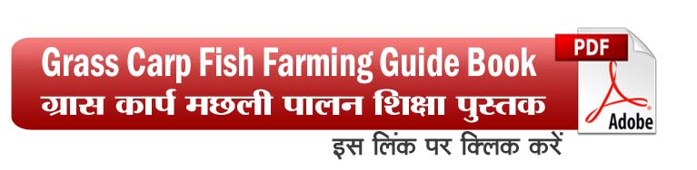Grass Carp Fish Farming Guide Book