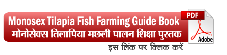 Monosex Tilapia Fish Farming Guide Book