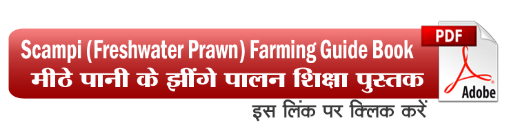 Scampi (Freshwater Prawn) Farming Guide Book