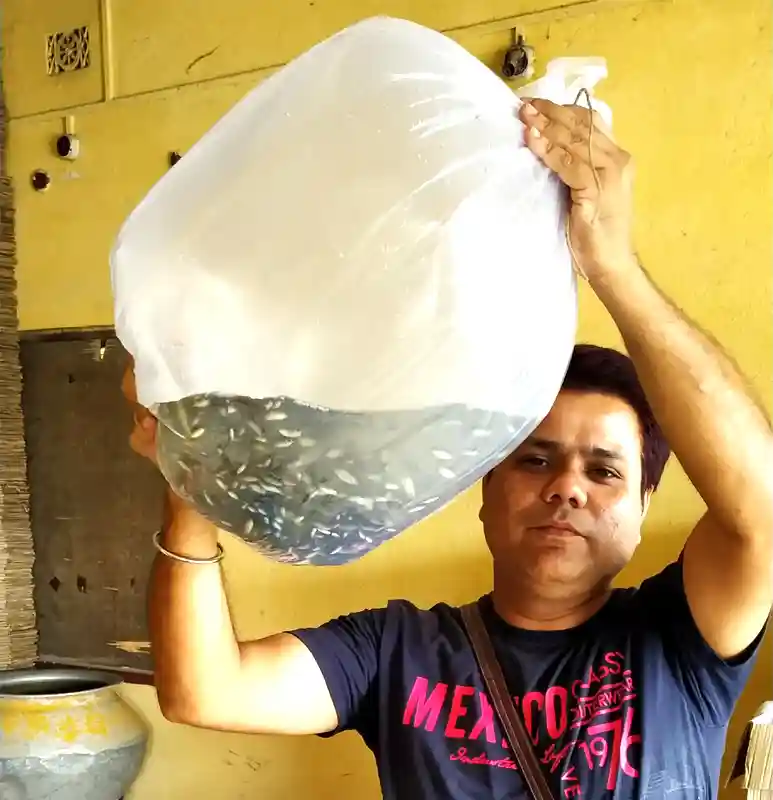 Fish Seed Hatchery 